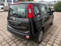 Neu Fiat Panda 69 PS (50 kW) 2025 Schwarz Limousine