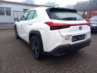 Gebraucht Lexus UX 250h Launch Edition 184 PS (135 kW) 2019 Weiß SUV