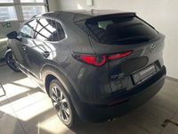 Gebraucht Mazda CX-30 186 PS (136 kW) 2023 Grau SUV