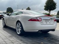 gebraucht Jaguar XK 4.2L V8 Coupé aus 1.Hand + tolle Farbkombi!!