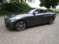Gebraucht BMW 220 Advantage 184 PS (135 kW) 2019 Grau Cabrio