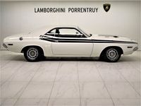 Gebraucht Dodge Challenger 334 PS (245 kW) 1971 Weiß Coupé