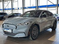 Gebraucht Ford Mustang Mach-E Premium 216 kW (294 PS) 2025 Grau SUV