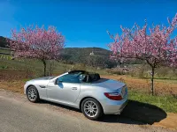 Gebraucht Mercedes SLK200 184 PS (135 kW) 2012 Silber Cabrio