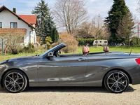 Gebraucht BMW 220 Advantage 190 PS (139 kW) 2015 Grau Cabrio