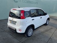 Neu Fiat Panda 69 PS (50 kW) 2025 Weiß Kleinwagen