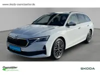 Occasion Skoda Octavia Selection 150 ch (110 kW) 2025 Blanc Break