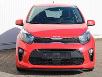 Gebraucht Kia Picanto Vision 67 PS (49 kW) 2022 Rot Kleinwagen
