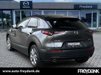Gebraucht Mazda CX-30 Exclusive-Line 140 PS (102 kW) 2024 Machine gray SUV