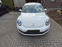 Gebraucht VW Beetle Design 105 PS (77 kW) 2012 Weiß Kleinwagen
