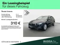Gebraucht Skoda Octavia Selection 150 PS (110 kW) 2025 Schwarzmagic perleffekt Kombi