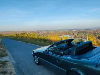 Gebraucht Mercedes SL300 231 PS (169 kW) 1992 Grün Cabrio
