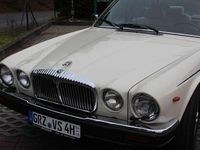 Gebraucht Jaguar XJ12 295 PS (216 kW) 1987 Beige Limousine