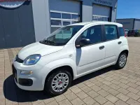 Usado Fiat Panda Easy 69 HP (50 kW) 2019 Branco Citadino