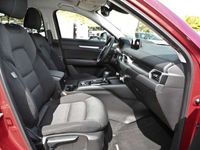 gebraucht Mazda CX-5 Kangei 2WD 2.5 SKYACTIV-G 194 Autom.*360°Kamera* Weitere Angebote