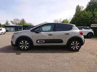 Gebraucht Citroën C3 PureTech 83 PS (61 kW) 2024 Beige Limousine