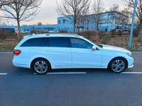 Gebraucht Mercedes E350 258 PS (189 kW) 2015 Weiß Kombi