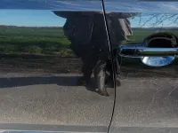 Gebraucht Daihatsu Sirion 69 PS (50 kW) 2007 Schwarz Kleinwagen
