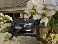 Gebraucht Skoda Superb 180 PS (132 kW) 2016 Andere farben Kombi