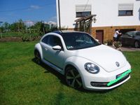 gebraucht VW Beetle 1.6 TDI BlueMotion Technology BlueMot...