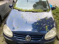 Gebraucht VW Golf V 75 PS (55 kW) 2005 Blau Kleinwagen