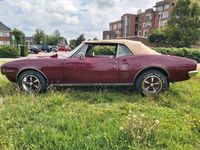 Gebraucht Pontiac Firebird 394 PS (289 kW) 1967 Braun Cabrio