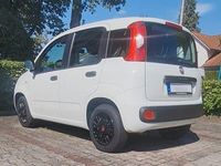 Gebraucht Fiat Panda Easy 69 PS (50 kW) 2019 Weiß Kleinwagen