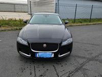 gebraucht Jaguar XF 