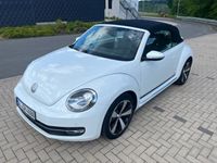 gebraucht VW Beetle Cabriolet Cup/Klima/Windshott