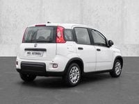 Neu Fiat Panda 69 PS (50 kW) 2025 Gelato weiß Limousine