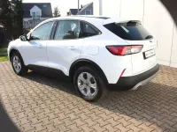 Gebraucht Ford Kuga Cool & Connect 224 PS (164 kW) 2021 Weiß SUV