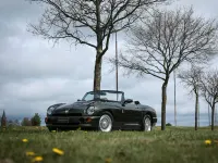 Gebraucht MG RV8 193 PS (141 kW) 1995 Grün Cabrio