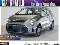 Neu Kia Picanto Vision 68 PS (50 kW) 2026 Grau Kleinwagen