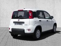 gebraucht Fiat Panda 1.0 Mild Hybrid Tech Paket/ Gelato Weiß