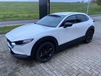 Gebraucht Mazda CX-30 Homura-Line 140 PS (102 kW) 2025 Weiß (snowflake white) SUV