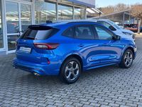 Gebraucht Ford Kuga ST-Line 179 PS (131 kW) 2024 Blau SUV
