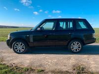 Gebraucht Land Rover Range Rover 313 PS (230 kW) 2011 Violet SUV