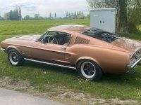 Gebraucht Ford V8 Fastback 203 PS (149 kW) 1967 Gold Coupé