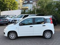 Gebraucht Fiat Panda Easy 69 PS (50 kW) 2020 Weiß Kleinwagen