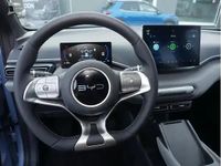 Neu BYD Dolphin 64 kW (88 PS) 2026 Blau Kleinwagen