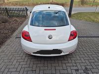 Gebraucht VW Beetle Design 105 PS (77 kW) 2012 Weiß Kleinwagen