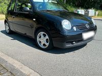 Gebraucht VW Lupo Basis 68 PS (50 kW) 2003 Schwarz Kleinwagen