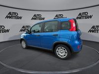 Gebraucht Fiat Panda 51 PS (37 kW) 2024 Blau Kleinwagen