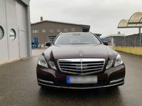 gebraucht Mercedes E220 CDI T BlueEFFICIENCY AVANTGARDE