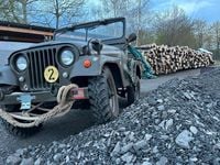 Gebraucht Jeep Willys 130 PS (95 kW) 1958 Grün SUV