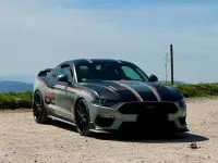 Gebraucht Ford Mustang Mach 1 460 PS (338 kW) 2024 Grau Coupé