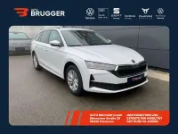Neu Skoda Octavia Selection 150 PS (110 kW) 2025 Moonweiss metallic Kombi