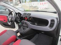 Gebraucht Fiat Panda Easy 69 PS (50 kW) 2016 Bianco ghiaccio/gelato Kleinwagen