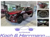 Gebraucht Mazda CX-80 Homura-Line 254 PS (186 kW) 2024 Artisan red SUV