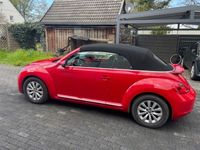 gebraucht VW Beetle Design BMT